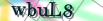 default Security Image