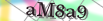 default Security Image