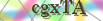 default Security Image