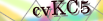 default Security Image